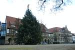 halberstadt13.jpg